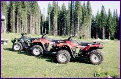 Arctic Cat Models