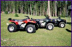 Arctic Cat Models